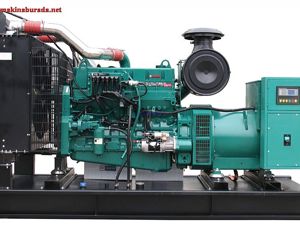 CUMMINS 220 KVA DIZEL OTOMATIK VE MANUAL JENERATÖR MONOFAZE/ TRIFAZE