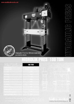 100 TON HİDROLİK PRES