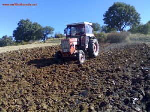 İlk Sahibinden Alman HANOMAG Muayyer arabayla Takas olur