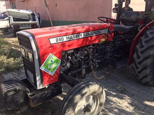 3 Tane Çok Temiz Yorulmamış Massey Ferguson