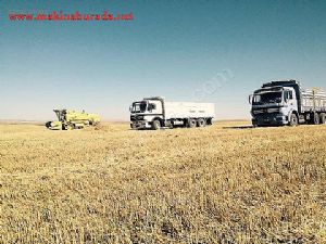 NEW HOLLAND SAHİBİNDEN BAKIMLI TEMİZ BİÇER