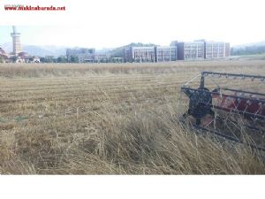 Garantili,temiz ve bakımlıdır