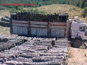 Sahibinden satlk 3226 ford cargo #7
