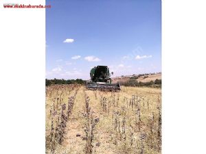 1979 Model John Deere 955 S5 