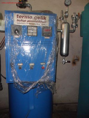 termoçelik buhar jeneratörü 350 kg